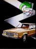 Ford 1977 488.jpg
